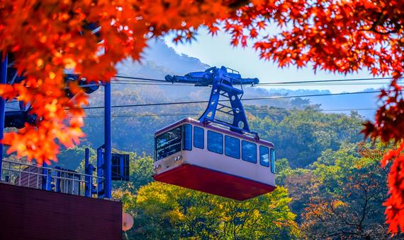 我行我素 素食旅遊~秋楓雪嶽山、南怡島、三岳山湖水纜車、景福宮、塗鴉秀、樂天超市5日 (不進人蔘保肝店、含小費)